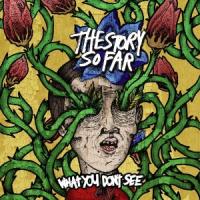 The Story So Far - What You Don´t See